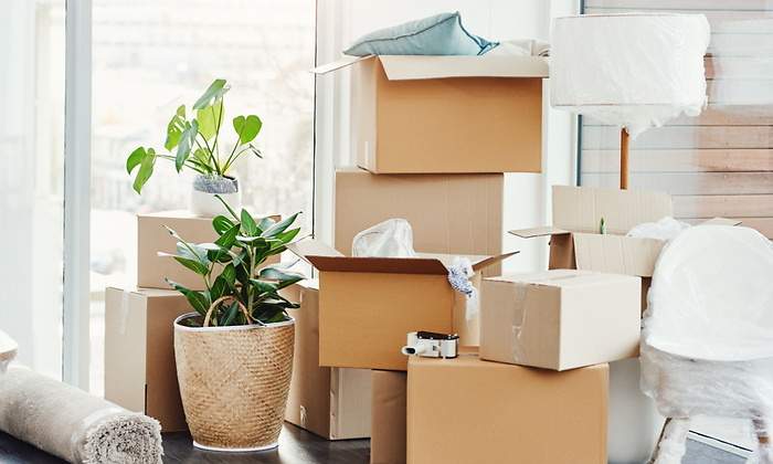 cajas-limpieza.jpg