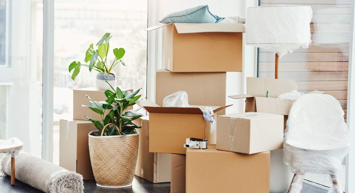cajas-limpieza.jpg