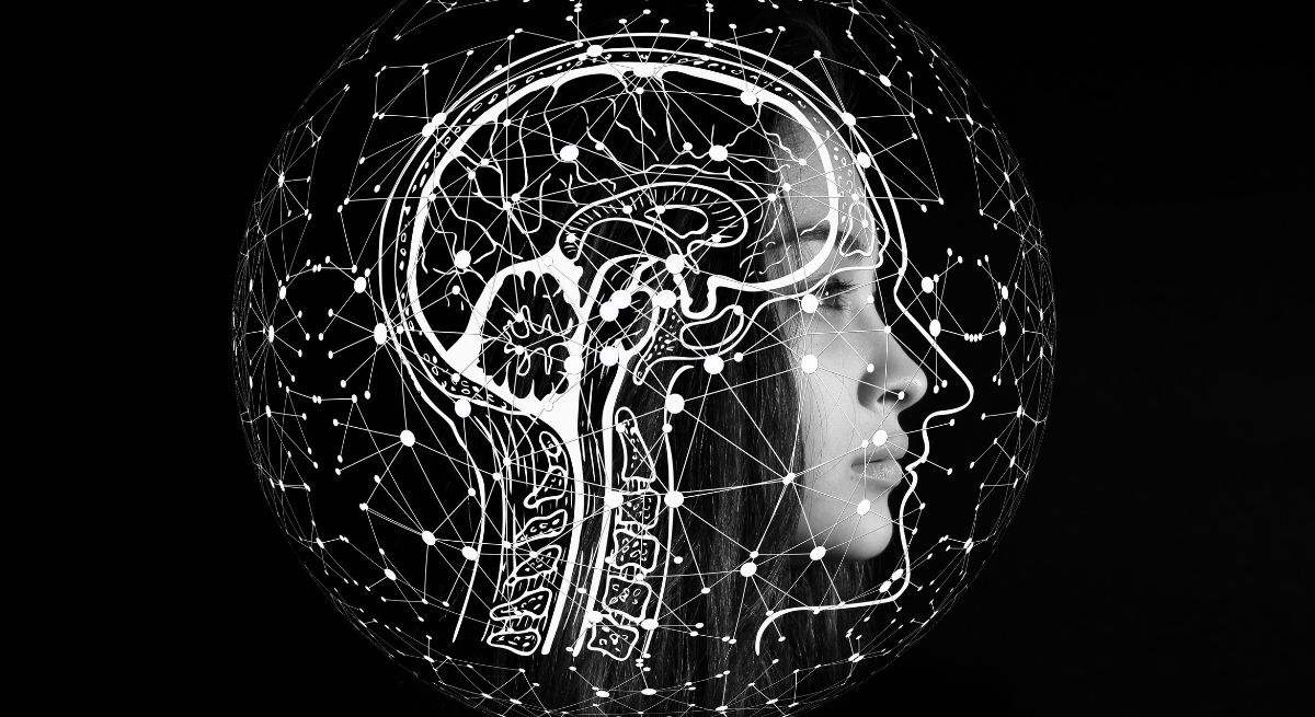 Cerebro humano