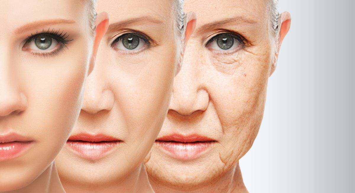 dieta-definitiva-acortar-edad-biologica-dreamstime.jpg