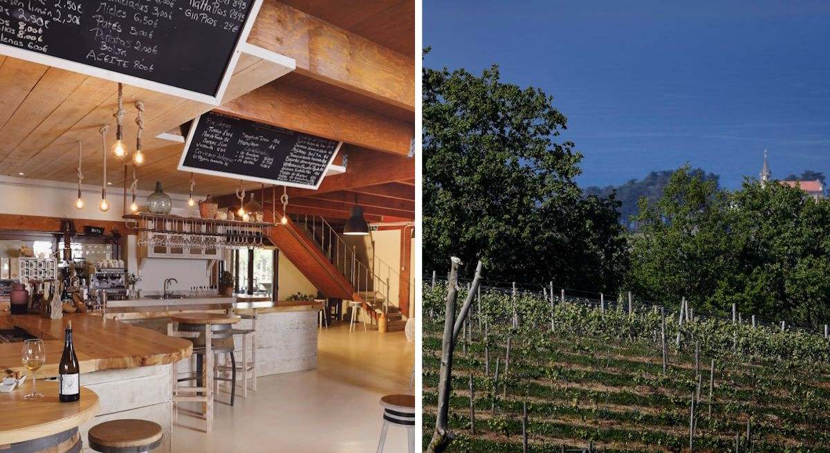 Bodegas Miradorio