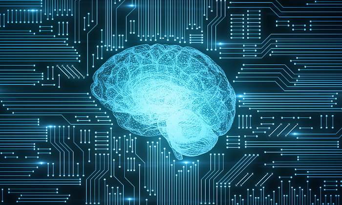 cerebro.jpg