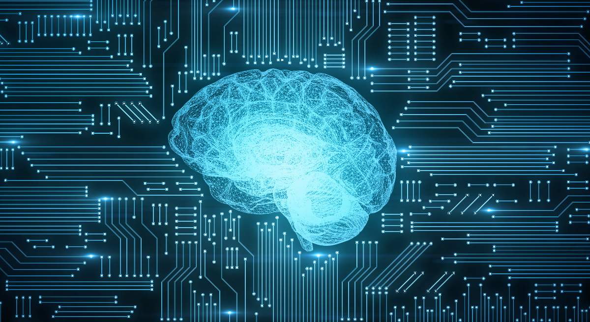 cerebro.jpg