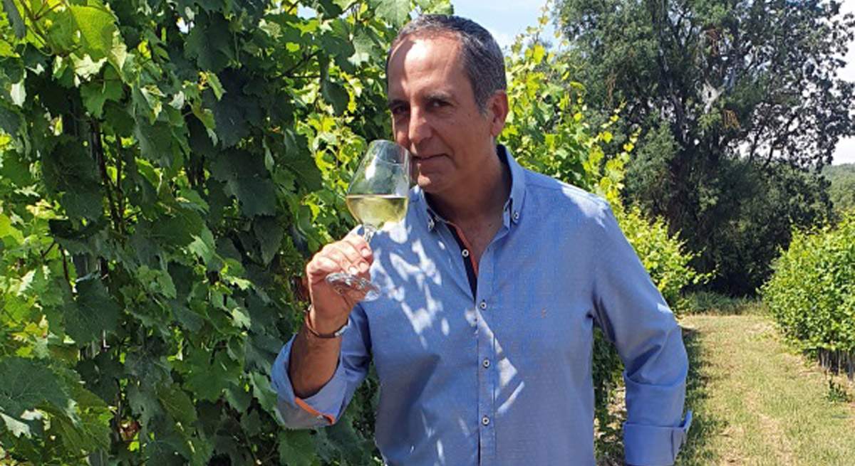 bodegapirineos
