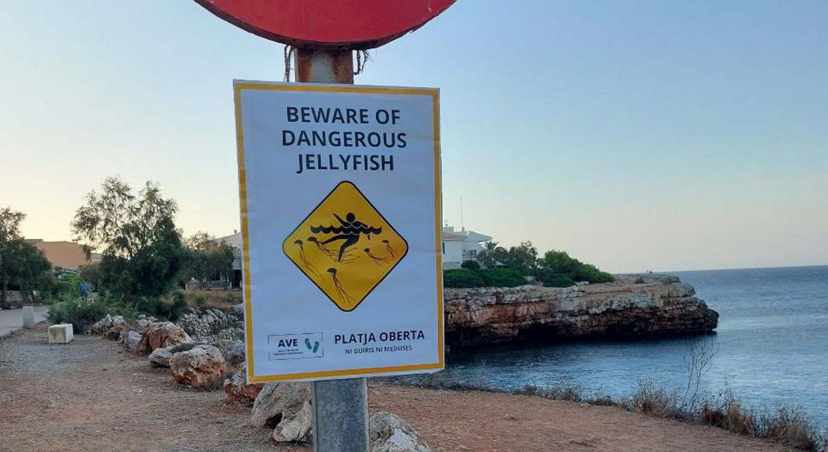 cartel-ni-guiris-ni-medusas-caterva-manacor.jpg