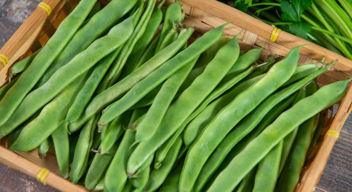 Una cesta de judías verdes