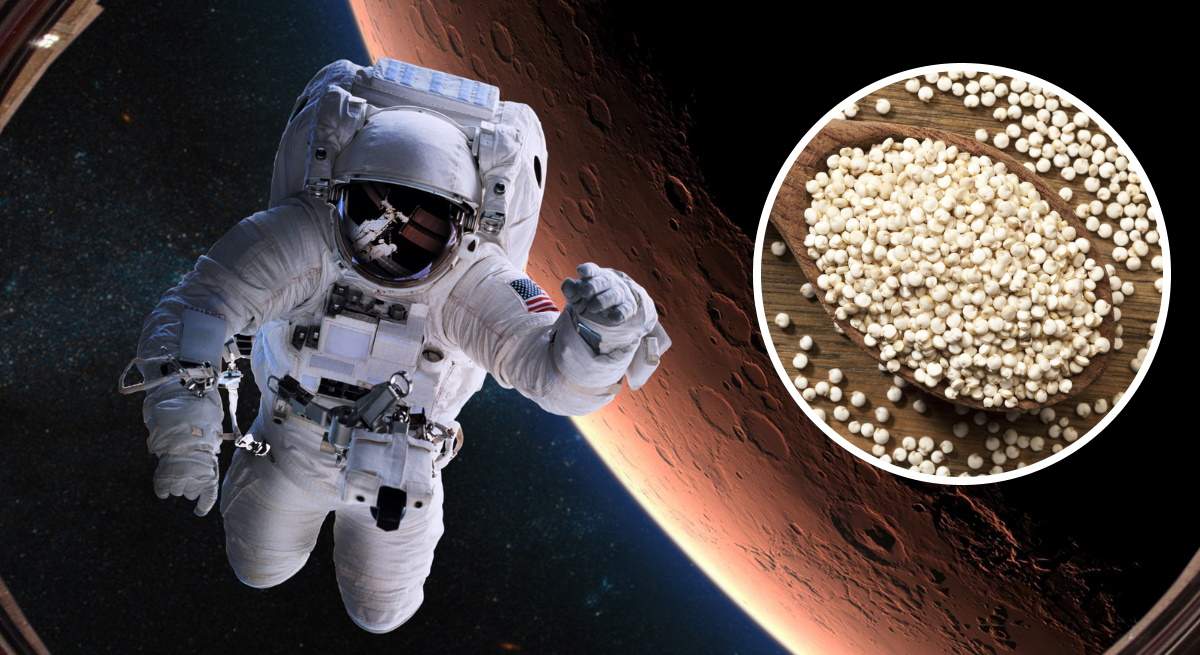 quinoa-nasa.jpg
