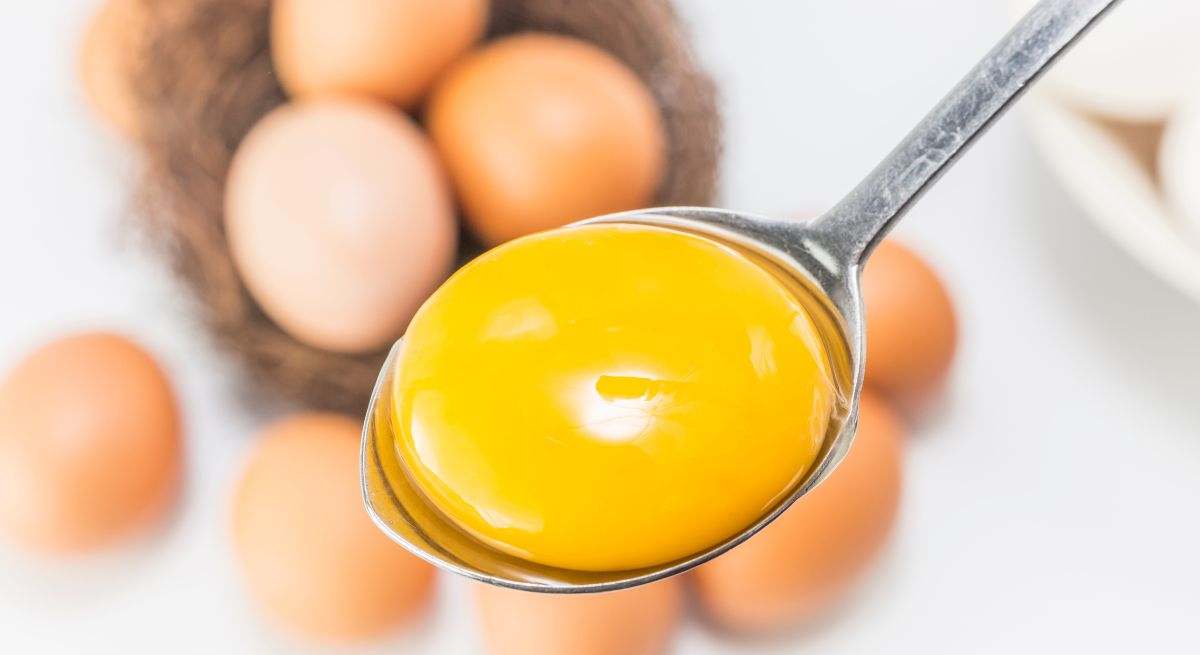 La yema de un huevo destaca sobre el resto de huevos
