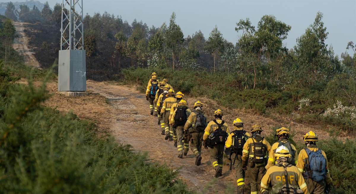 La Xunta da luz verde al nuevo plan antiincendios.