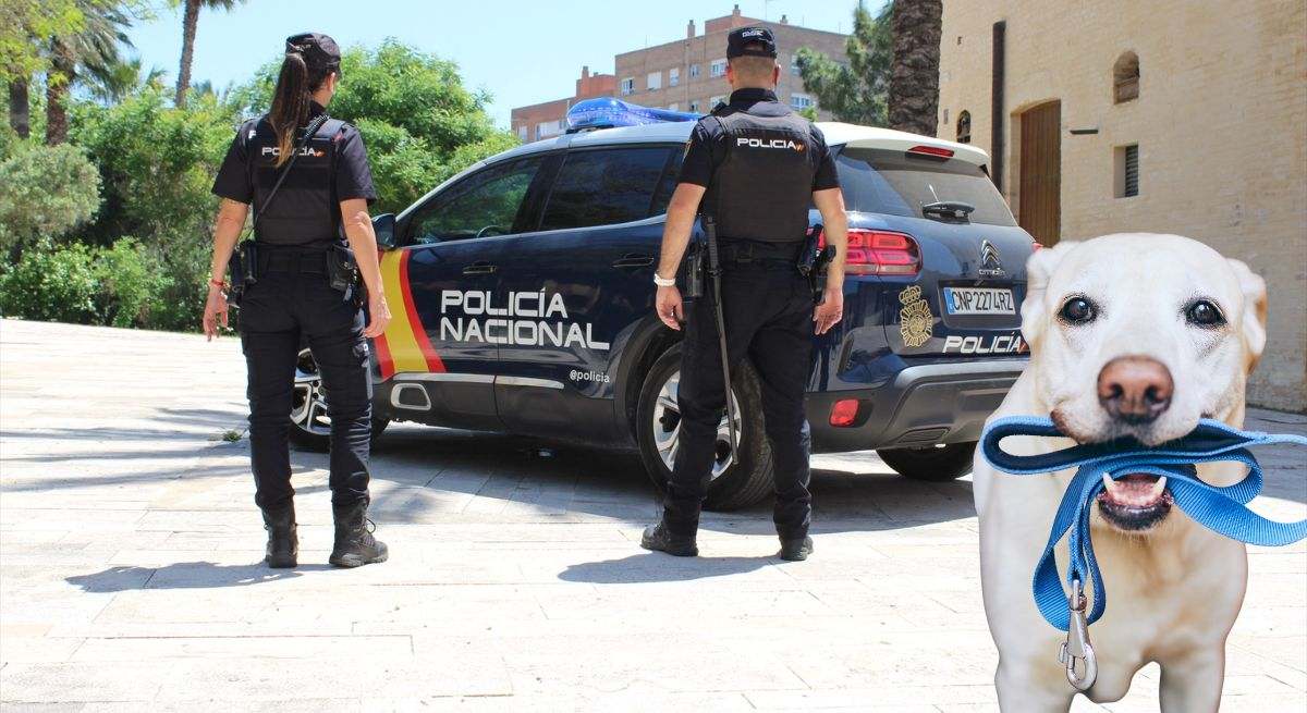 Policía Nacional, perro con correa de paseo. / Foto: Canva