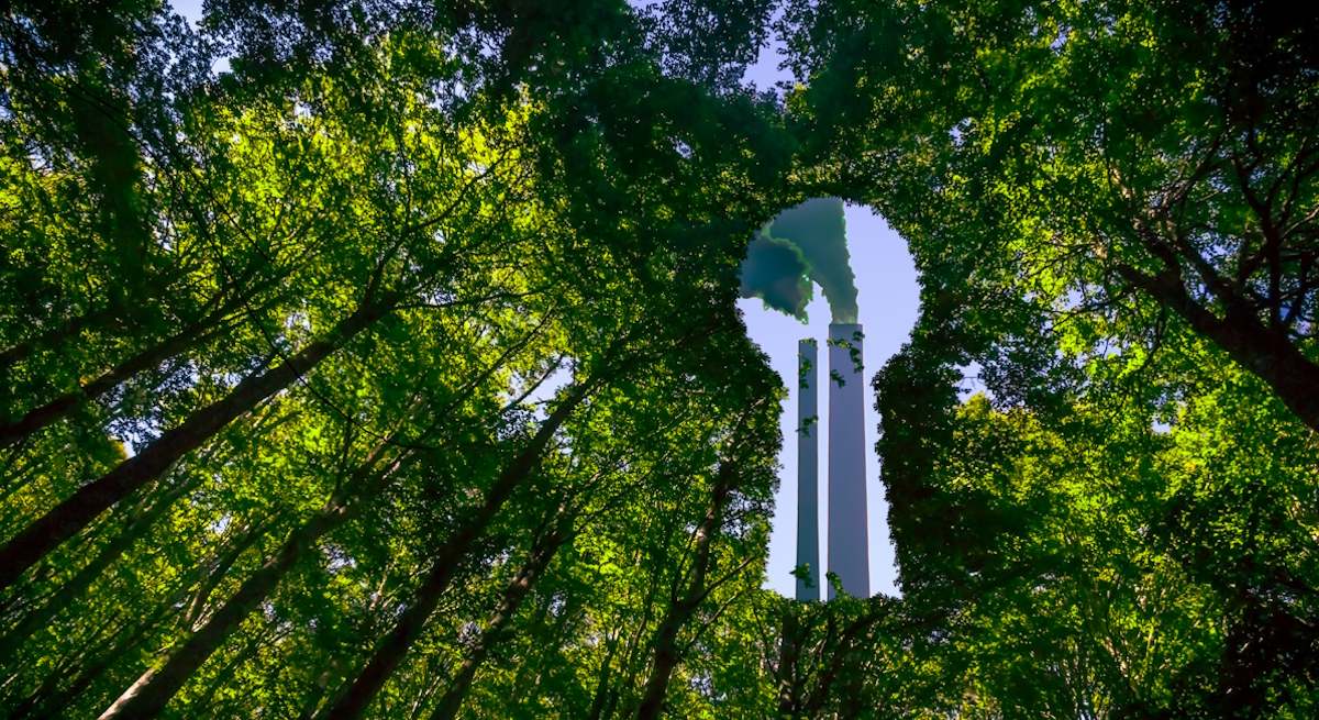 Greenwashing_iStock.jpg