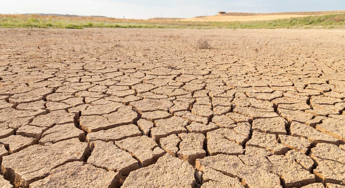 'Foment' pide 1.000 millones para la sequía. EE