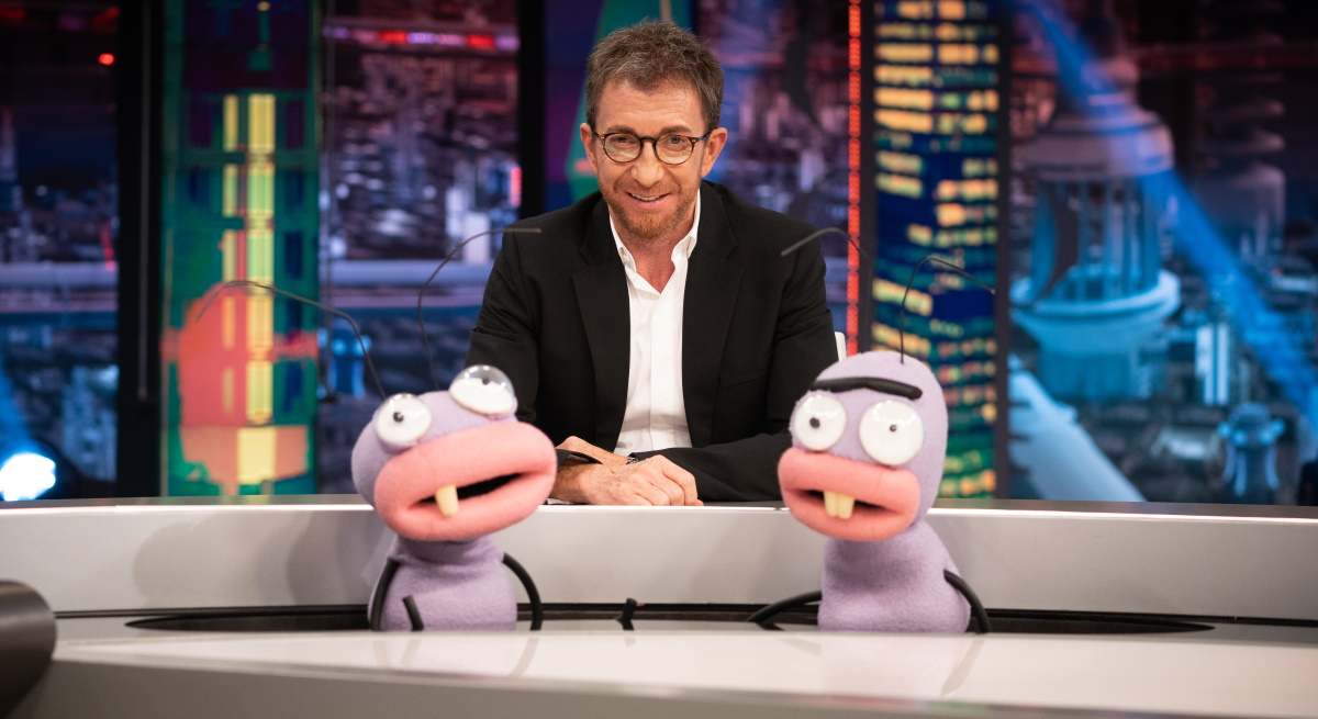 motos-hormiguero-plato.jpg