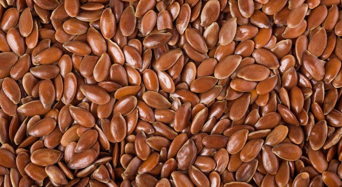 Las semillas de lino son pequeñas, de borde puntiagudo y de color marrón