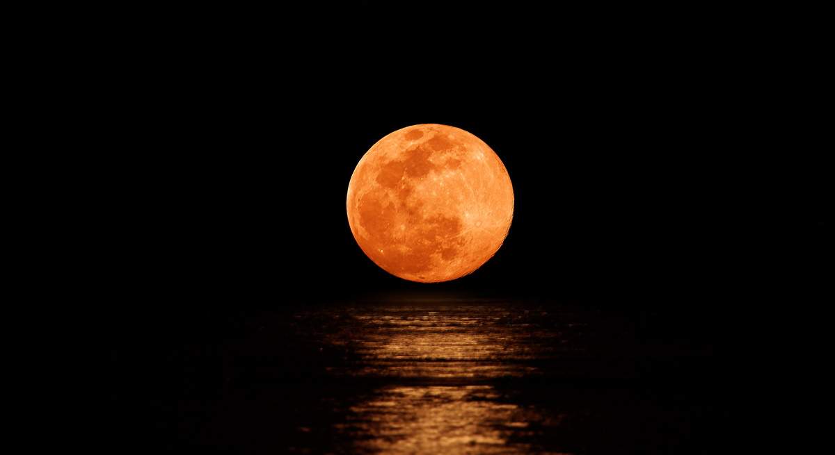 luna-llena-castor.jpg