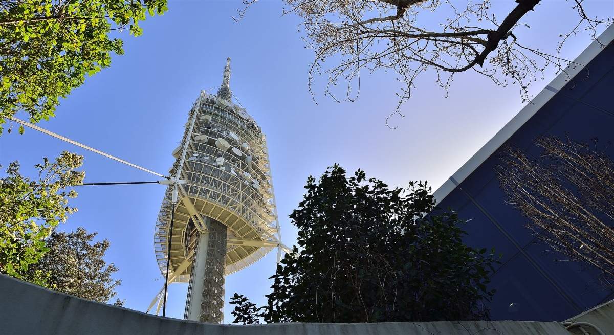 Collserola1.jpg