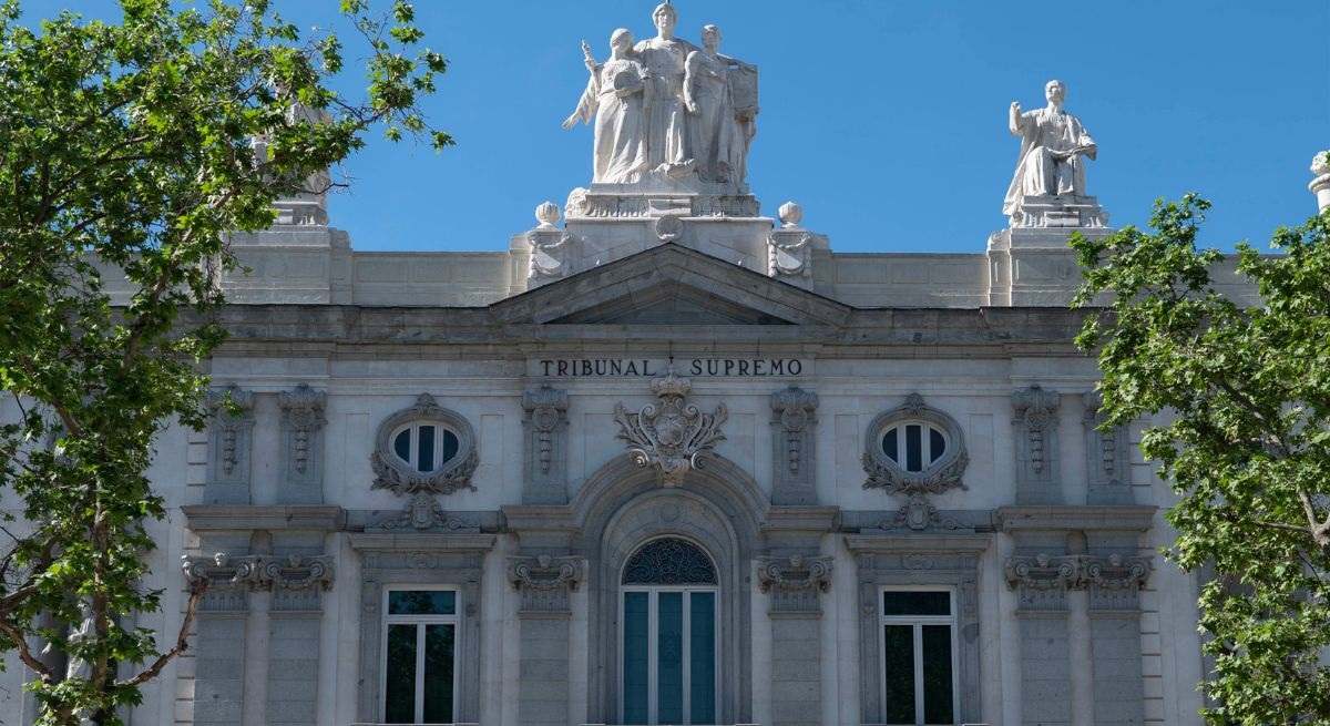 TS-detalle.jpg