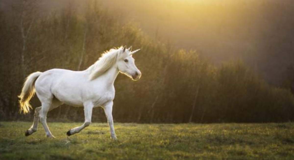 unicornio-istock.jpg