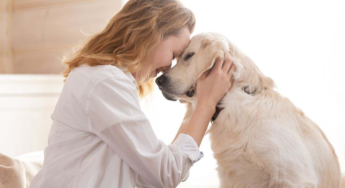 Una mujer acaricia a su perro