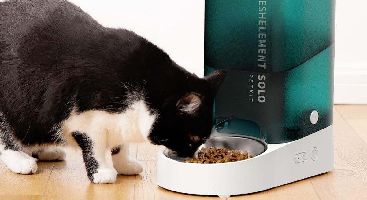 Comedero automático para gatos de PETKIT