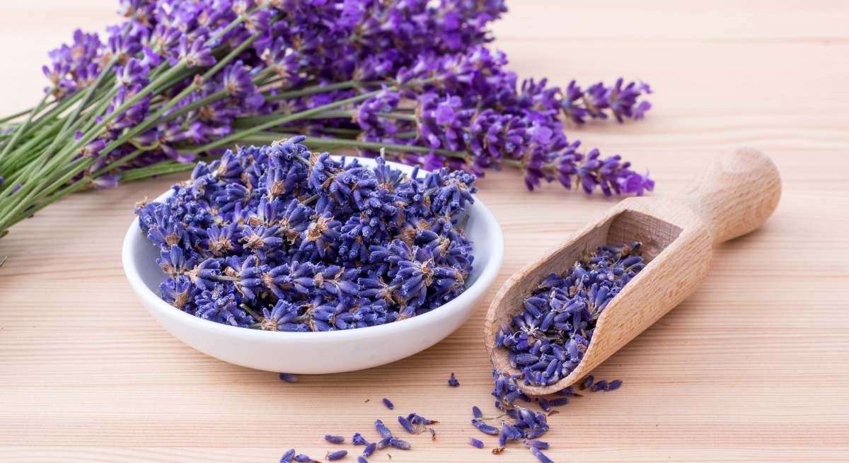Lavanda.