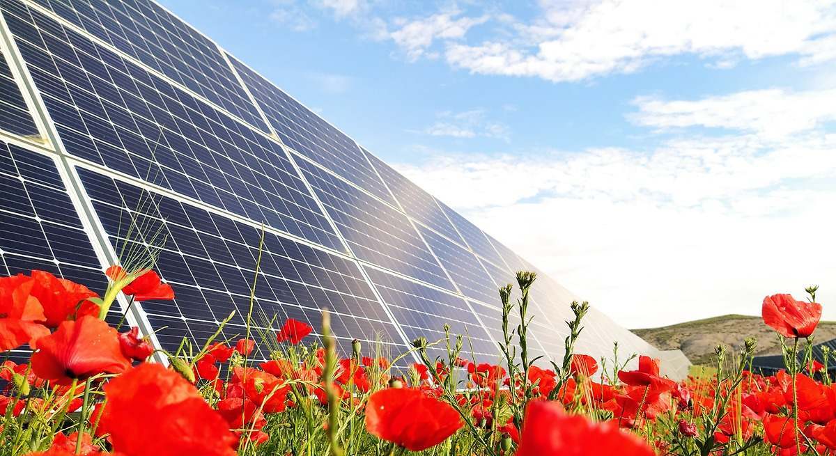 Una planta fotovoltaica