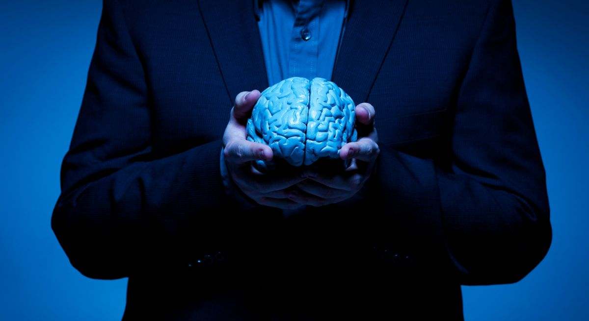 El cerebro es un órgano complejo y vital dentro del cuerpo humano