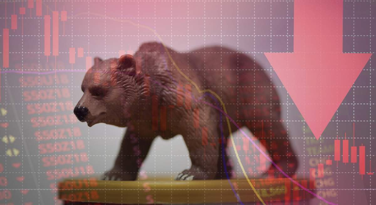oso-flecha-cae-dreamstime.jpg