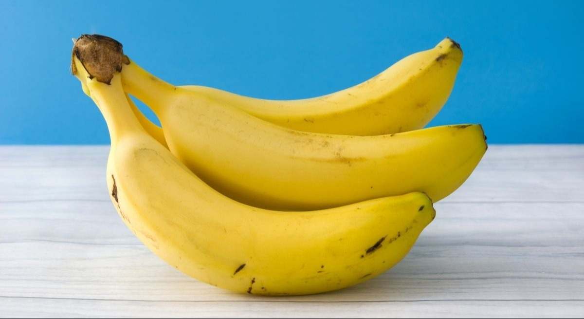 platano-canva