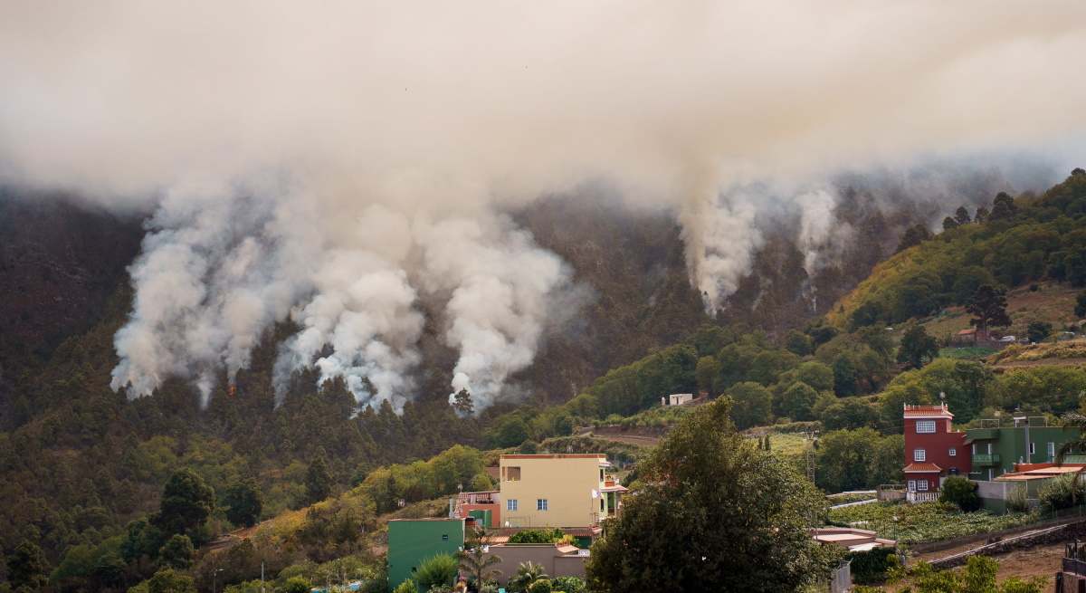 incendio-tenerife-arafo-efe.jpg