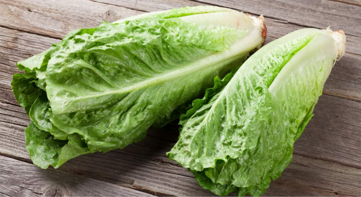 lechuga-romana.jpg