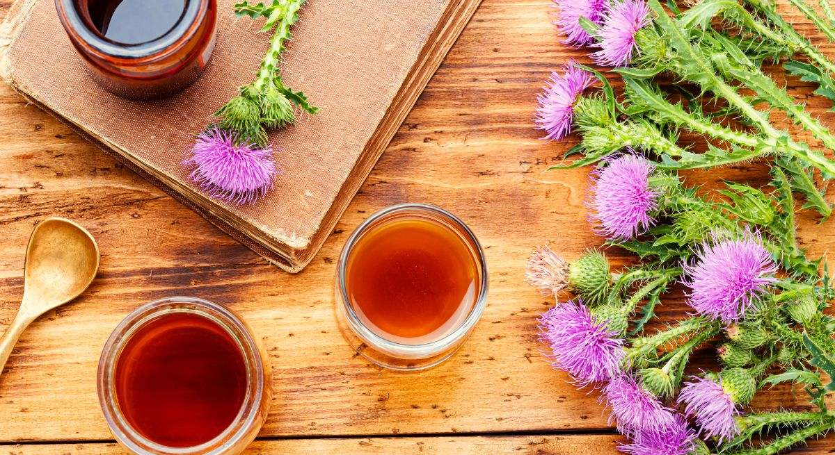 Infusión de cardo mariano