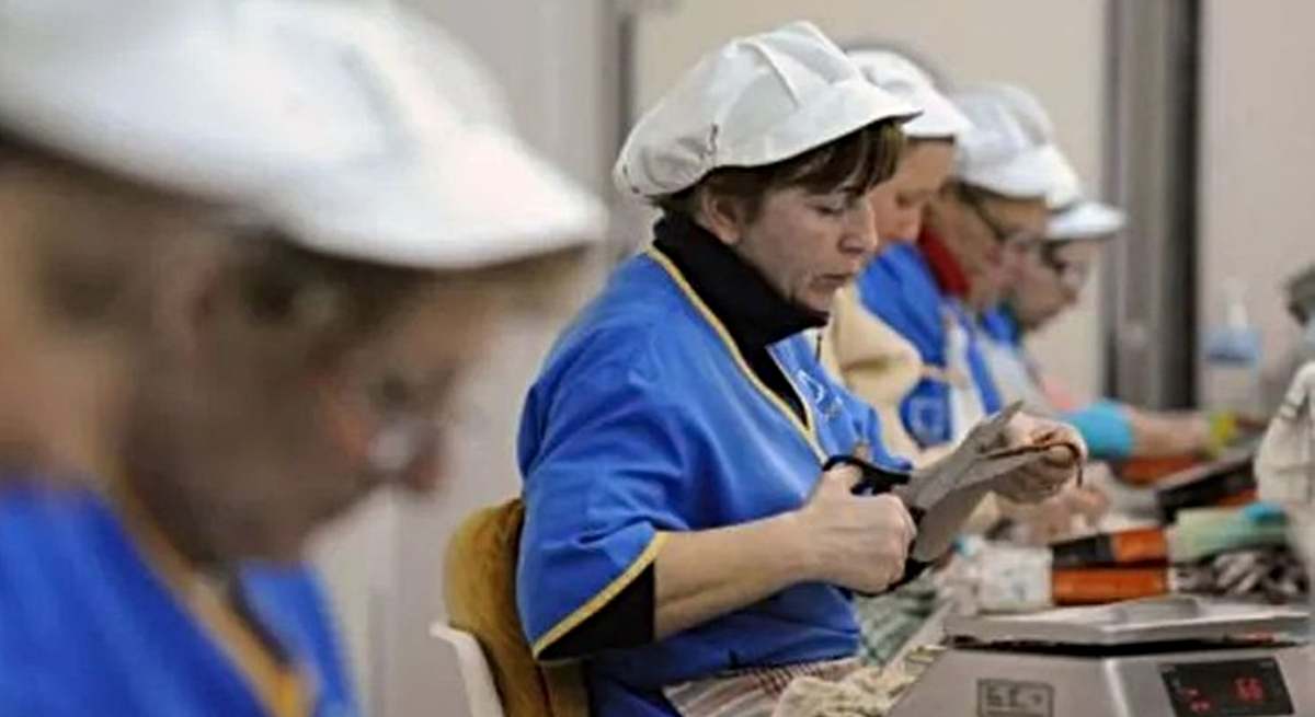 Varias trabajadoras