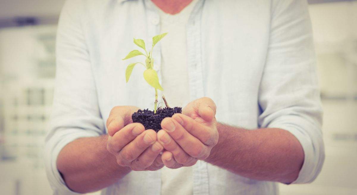 oficina-plantas-teletrabajo-dreamstime.jpg