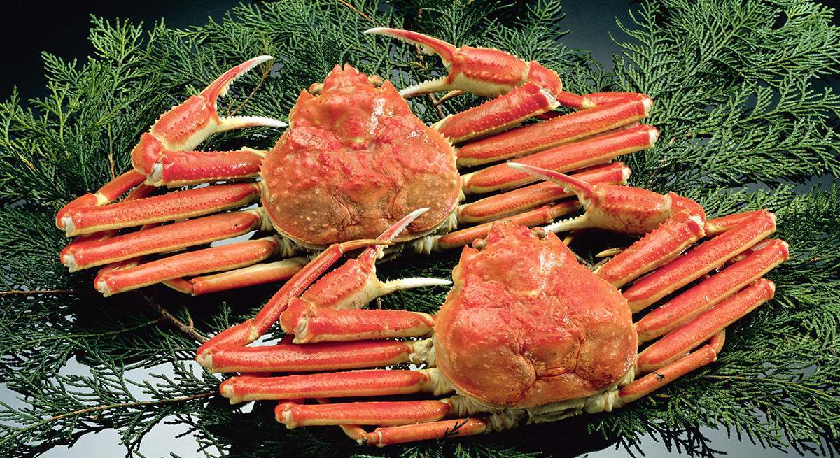 cangrejonieveweb.jpg