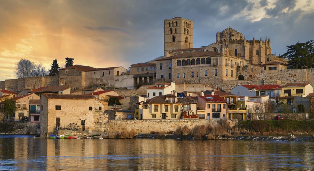 zamora-2023.jpg