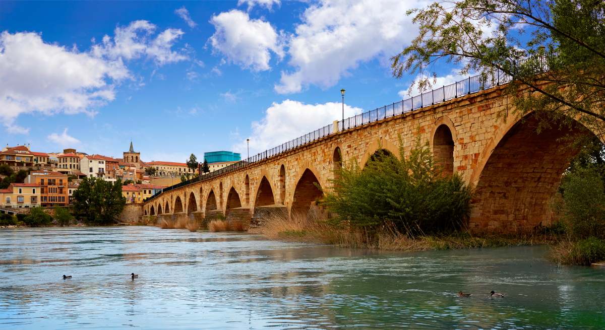 zamora