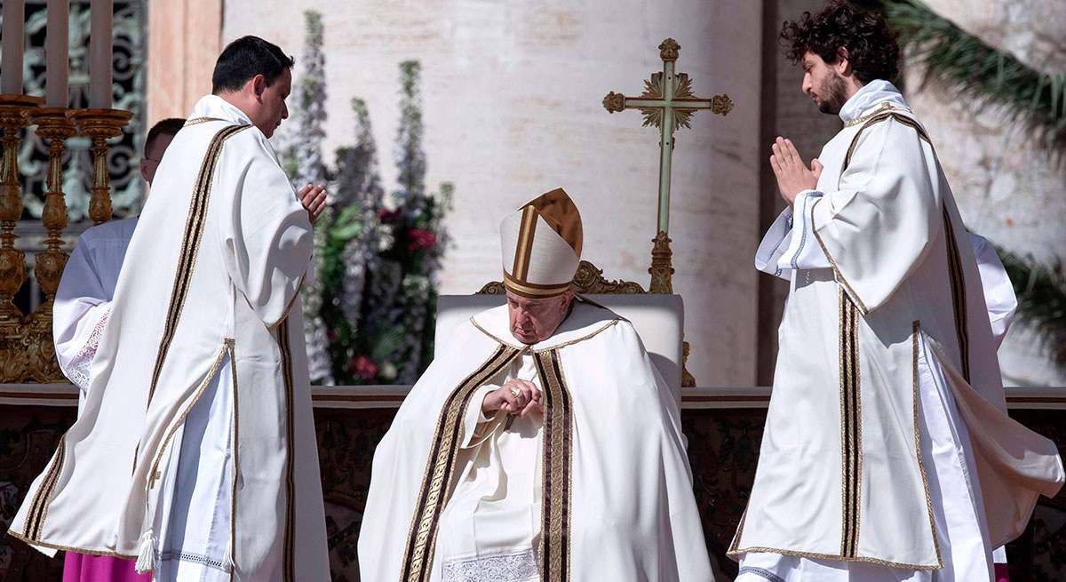 franciscoweb.jpg