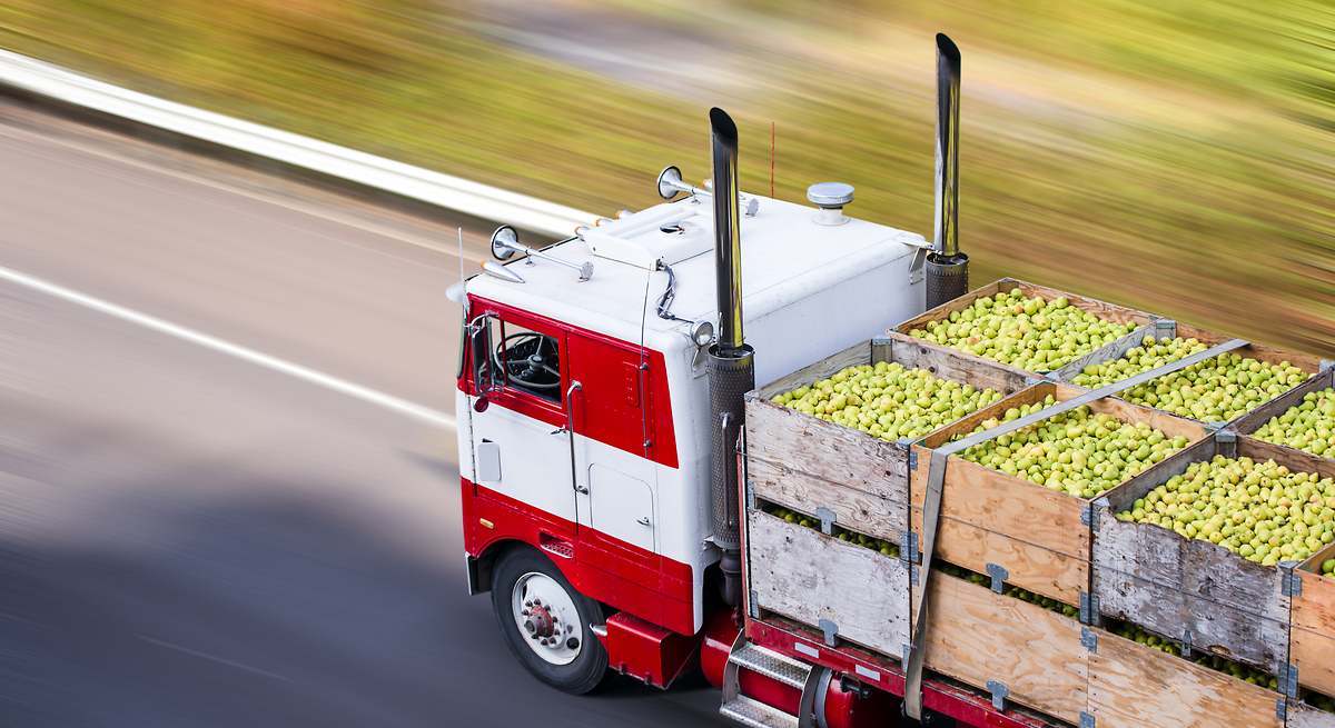 1200x655_Frutas.jpg