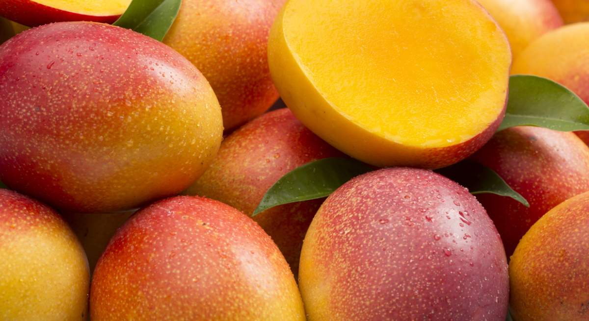 mango.jpg