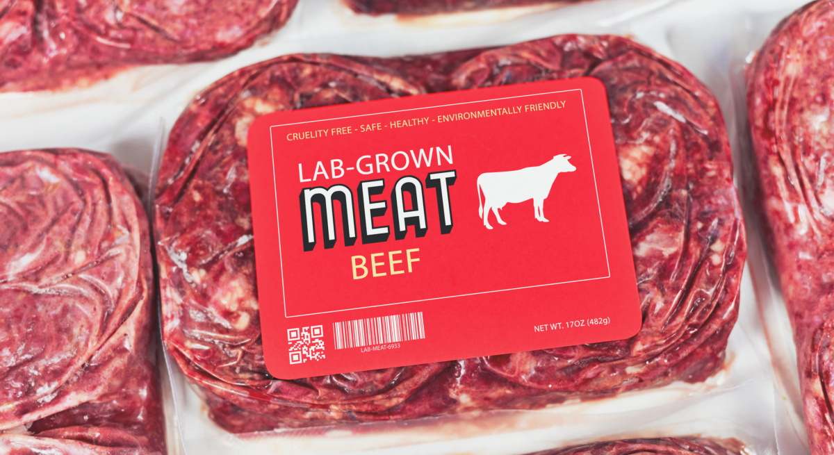 carne cultivada