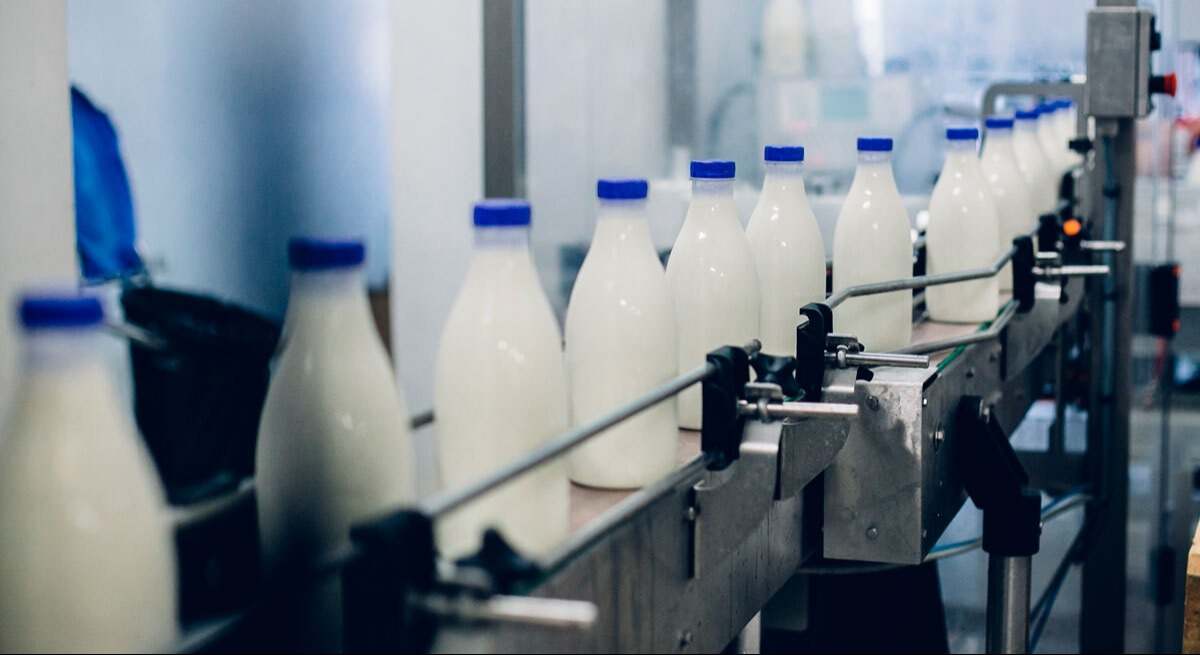 Producción de leche