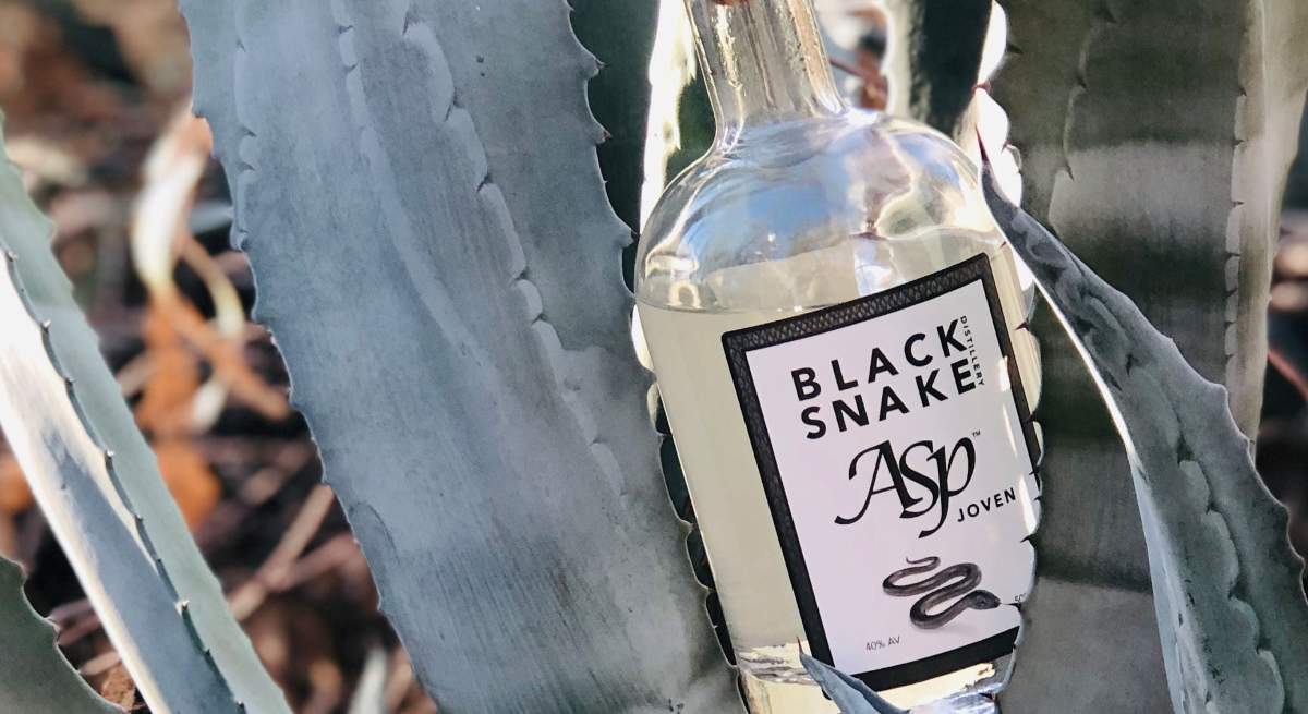 tequila-australia-black-snake.jpg