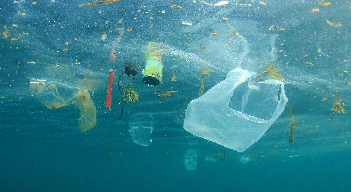 plastico-oceano-canva