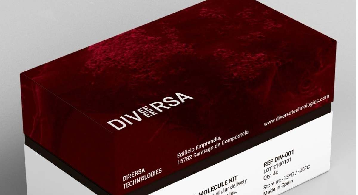 DIVERSA TECNOLOGIES