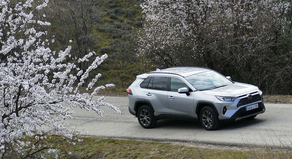 RAV4.jpg