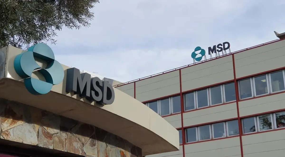 msd-medicamento.jpeg