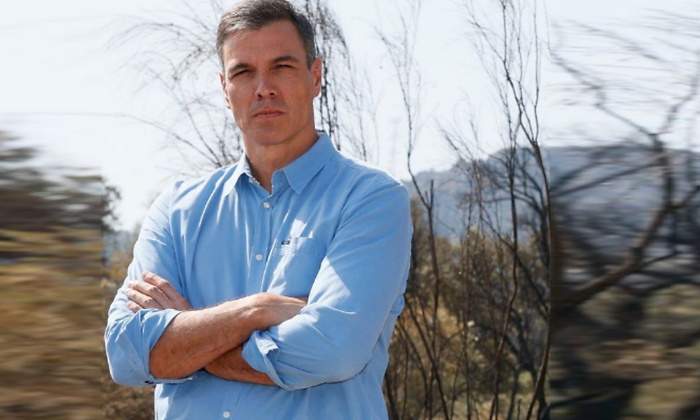 pedro-sanchez-pantalon1200.jpg
