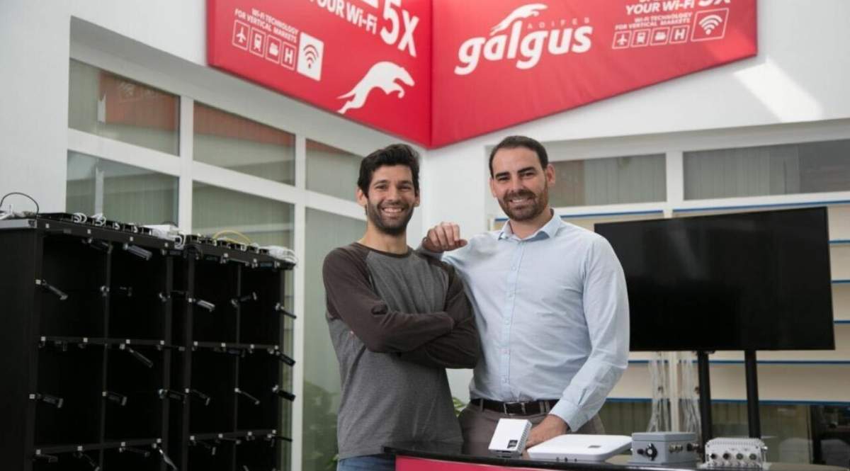 galgus.jpg