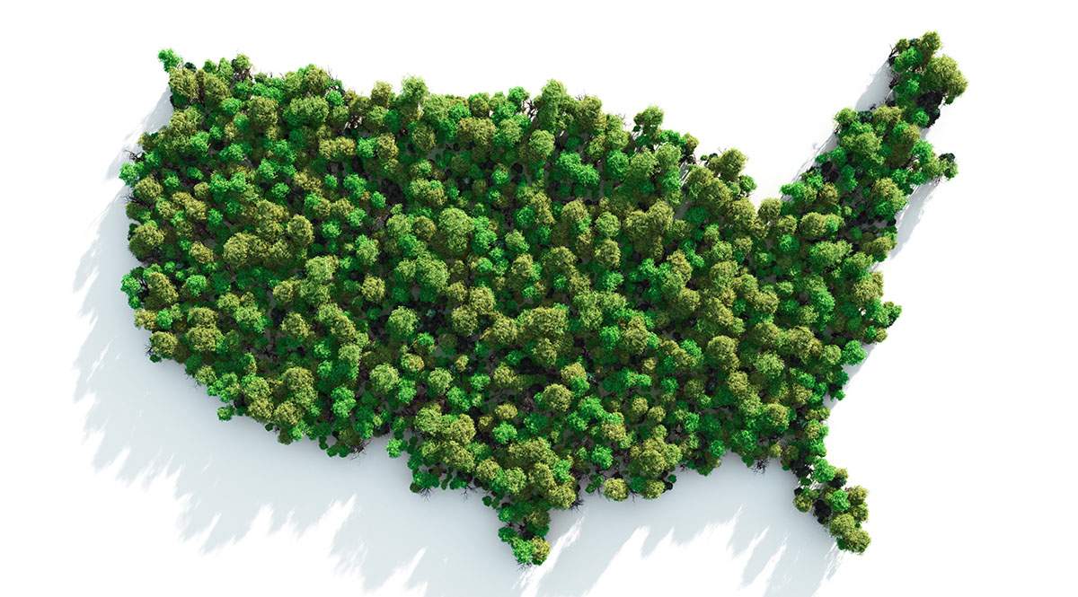 EEUU-Verde-istock-1200.jpg